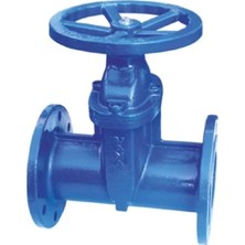 Klepsan 1173 Elastomer Sürgülü Vana F5 GG40 Dn 100