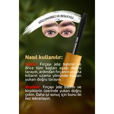 Swanfeat B5 Vitaminli Kaş ve Kirpik Sabitleyici, Şekillendirici ve Besleyici Şeffaf Jel Maskara