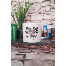 Are You Kitten Me Yazılı Komik Kedi Şakası Kedisever Hediyelik Kulplu Kupa Bardak