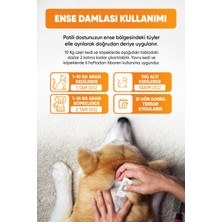 Kedi Köpek Dış Parazit Ense Damla Hijyen Tüy ve Deri Bakımı 4'lü Avantaj Seti