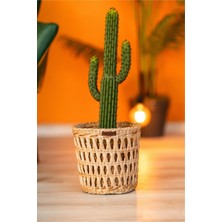 Atandu Home %100 El Yapımı Doğal Hasır Saksılık & Organizer Sepet | 24x24 cm | Dekoratif Saksı Kılıfı | Bohem Rustik Hasır Sepet | El Örgüsü Ev Düzenleyici