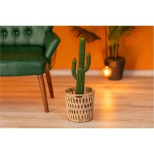 Atandu Home %100 El Yapımı Doğal Hasır Saksılık & Organizer Sepet | 24x24 cm | Dekoratif Saksı Kılıfı | Bohem Rustik Hasır Sepet | El Örgüsü Ev Düzenleyici