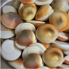 Yılancık Taşı Şifa Taşı 47 Adet, Erkek ve Dişi Karışık, Enerji ve Denge Taşı