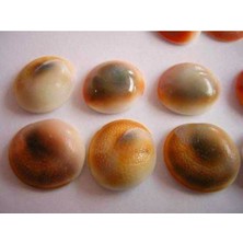 Yılancık Taşı 37 Adet, Doğal ve Güzel Taşlar, Sağlık ve Dekorasyon Için Uygun