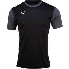 Puma 65648403 Teamgoal 23 Sideline Tee Erkek T-Shirt