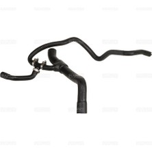 Rapro 11248 Radyator Alt Hortumu Palıo-Sıena 1.2 8V 97>02 Cf3