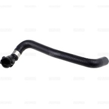 Rapro 19786 Genlesme Tank Hortumu Bmw F-20-22-30-36 N-13-19