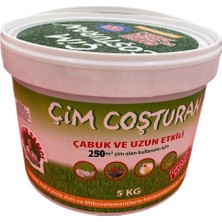 Özlem Çim Coşturan 2820 Çim Gübresi 5 kg 250 M2 Için