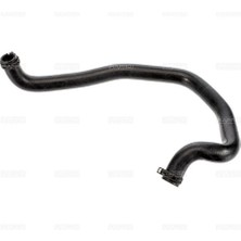 Rapro 16422 Radyator Alt Hortumu B-Max 1.0 Ecoboost
