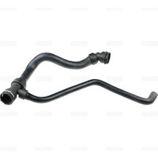 Rapro 25291 Radyator Alt Hortumu Vw Passat Iv - Audı A4 1.6 96-04