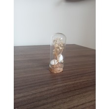 Kuru Çiçek Şişe Hediyelik -25ADET