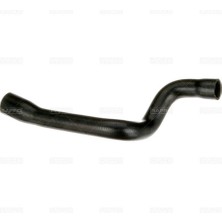 Rapro 18580 Radyator Alt Hortumu Vectra B 1.6 I 16V