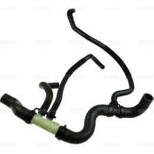 Rapro 12564 Radyator Hortumu Alt Master Iıı 2.3 M9T