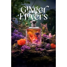 Carpex Auramax Pro Geniş Alan Koku Makinesi Siyah ve Ginger Flowers Auramax Koku Kartuşu 250 ml