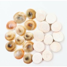 Yılancık Taşı, 23 Adet, Erkek ve Dişi Karışık, Doğal Taş Seti