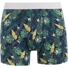 DeFacto Regular Fit Baskılı 3'lü Boxer C9568AX24AU