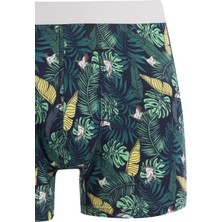 DeFacto Regular Fit Baskılı 3'lü Boxer C9568AX24AU