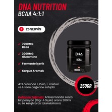 Dna Nutrition Amino Asit Paketi-3 (Creatine+Bcaa+Aol)