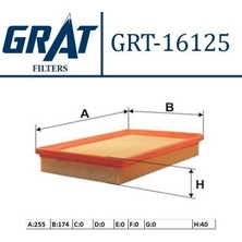 GRAT-16125 - Hava Fıltresı - (Hyundaı: Elantra 00>06 Cerato 04>10 "benzınlı")