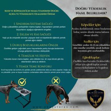 Aybisev 2 Serisi Kedi ve Orta-Büyük Irk Köpekler Için 3 Kademeli Yükseklik Ayarlı Paslanmaz Mama Su Standı