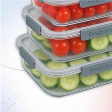 6’lı Fres Box Saklama Kabı Seti - Silikon Contalı