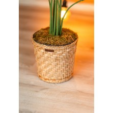Atandu Home El Yapımı Doğal Hasır Saksılık & Organizer Sepet | 24X24 cm | Dekoratif Saksı Kılıfı | Bohem Rustik Hasır Sepet | El Örgüsü Ev Düzenleyici