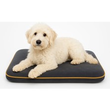 4 Mevsim Termojel (60X40CM)  Kedi/ Köpek Matı, Sıcak Veya Soğuk Kullanılabilen Minder Yatak