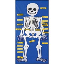 Bfs  AND-9150 Cırtlı Iskelet Pano 5119