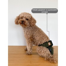 Haki Dişi Köpek  Külotları - 3'lü Avantajlı Paket | Su Geçirmez ve Yıkanabilir Dişi Köpek Külotu |  Dönemi ve  Için Mükemmel