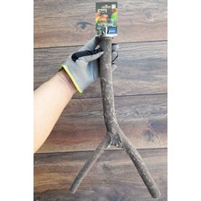 Vixpet Venty Doğal Şekilli Papağan Tüneği 45.5 cm | Jako, Amazon, Eklektus, Alexander, Kayık, Konur - T604 Kafes Tüneği