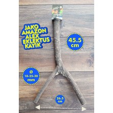 Vixpet Venty Doğal Şekilli Papağan Tüneği 45.5 cm | Jako, Amazon, Eklektus, Alexander, Kayık, Konur - T604 Kafes Tüneği