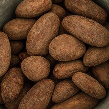 Eleonora Coffee Roasters 50GR El Salvador Organik Kavrulmuş Criollo Kakao Çekirdeği