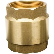 Klepsan 519 Yaylı Dik Çekvalf 4"