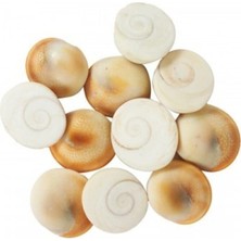 15 Adet Yılancık Taşı Seti, 5 Adet Hediye ile Doğal Taş Takımı