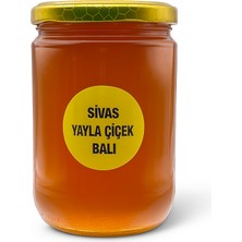 Ture Gurme Sivas Yayla Çiçek Balı 850 gr
