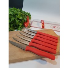 Sürbısa Sürmene 61004 Mutfak Bıçağı (9,50 Cm)