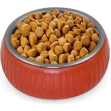 Çok Renkli Organik Seramik Mama Kabı, Sağlıklı ve Şık Tasarım