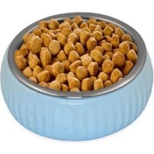 Organik Seramik Köpek Maması Kabı, Şık ve Dayanıklı Mavi Tasarım