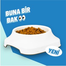 Beyaz 1 Litre Plastik Su ve Mama Kabı, Sağlam ve Kullanışlı Tasarım