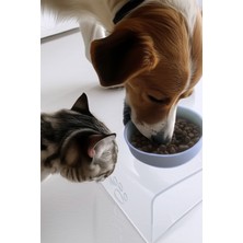 Beyaz Pleksi Kedi ve Köpek Mama Kabı, Şık ve Dayanıklı Tasarım
