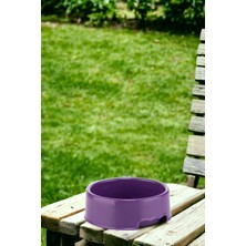 500 ml Renkli Kedi ve Köpek Mama-Su Kabı, Pratik ve Şık Tasarım