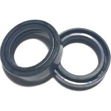 BWS-100 Amortisör Keçesi 25X35X9/10