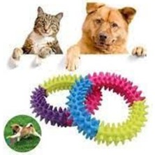 Renkli Köpek Isırma ve Kaşıma Çemberi - 9,5 Cm, Eğlenceli ve Dayanıklı Tasarım