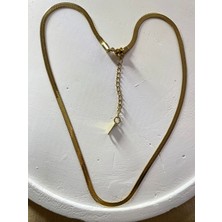 Çelik Balıksırtı Çelik Kararmaz Kolye Gold