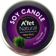 Citronella Kokulu Sinek Kovar %100 Doğal Soya Wax