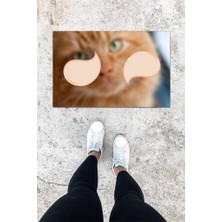 Dijital Baskı Renkli Kedili Desen Kapı Önü Paspası K-1034