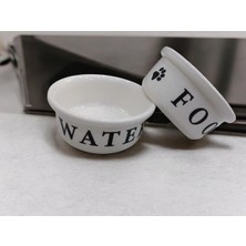 Çok Renkli Evcil Hayvan Mama ve Su Kabı, Şık ve Kullanışlı Tasarım