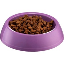 Büyük Renkli Yuvarlak Mama Kabı, Evcil Hayvanlar Için Şık ve Kullanışlı Tasarım