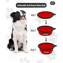 Kırmızı Mama Kutusu, Pratik ve Şık Saklama Çözümü