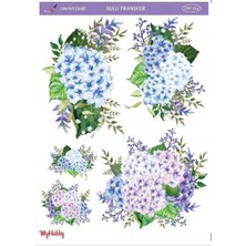 Sulu Transfer LNT113